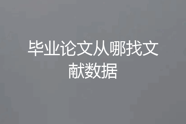 毕业论文从哪找文献数据