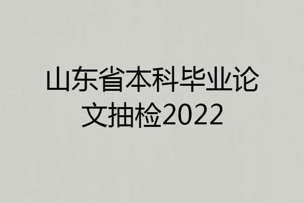 山东省本科毕业论文抽检2022