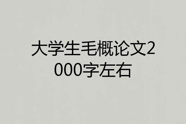 大学生毛概论文2000字左右