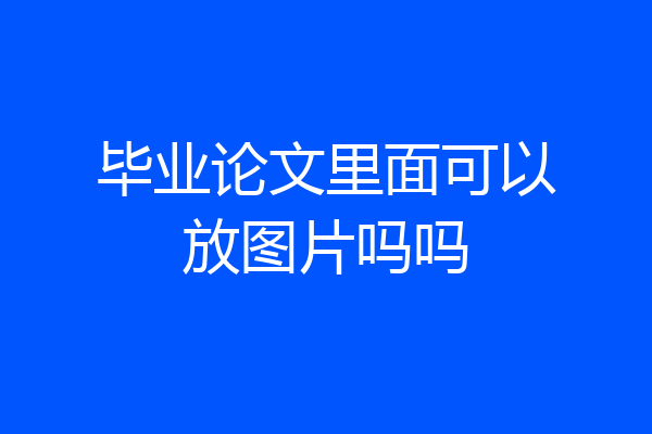 毕业论文里面可以放图片吗吗