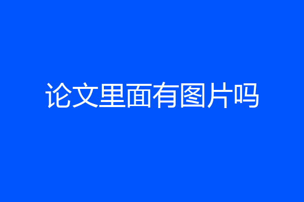 论文里面有图片吗