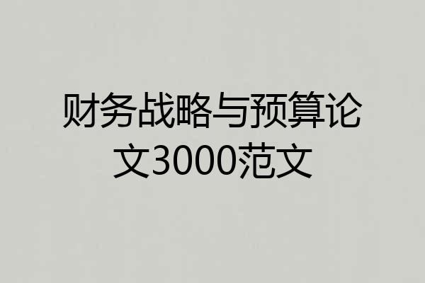 财务战略与预算论文3000范文