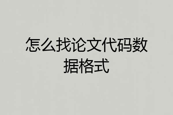 怎么找论文代码数据格式