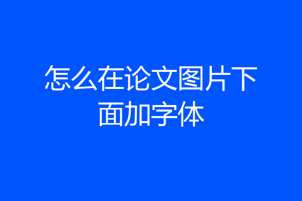怎么在论文图片下面加字体