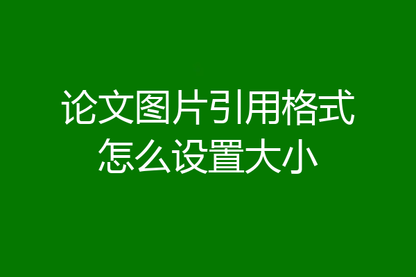 论文图片引用格式怎么设置大小