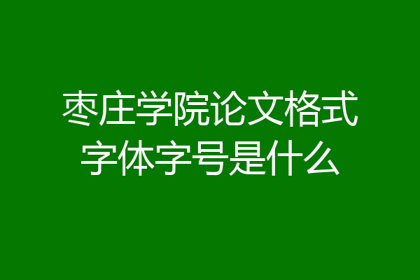 枣庄学院论文格式字体字号是什么