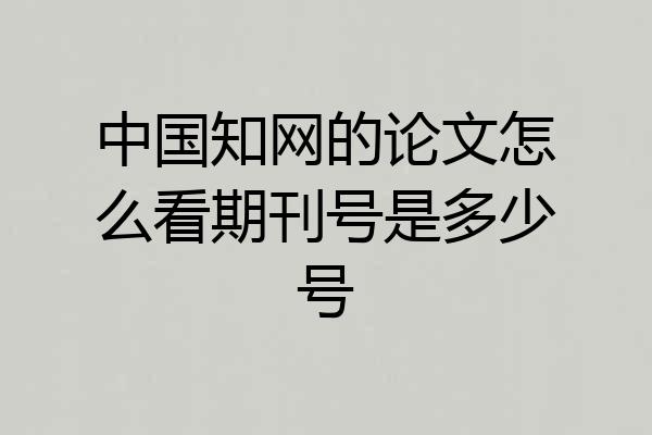 中国知网的论文怎么看期刊号是多少号