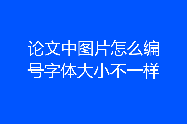 论文中图片怎么编号字体大小不一样