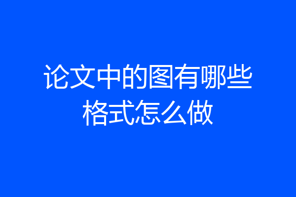 论文中的图有哪些格式怎么做