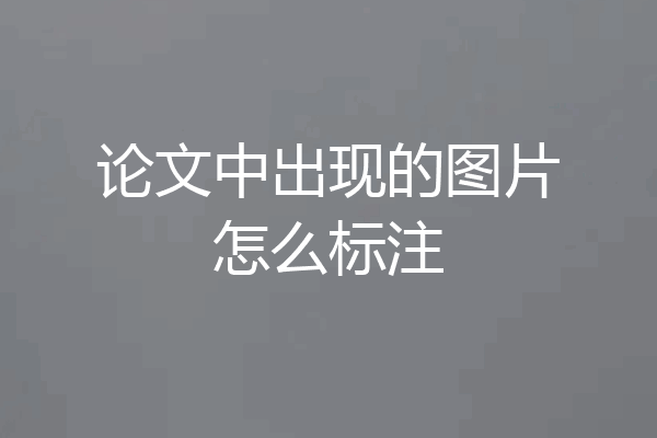 论文中出现的图片怎么标注
