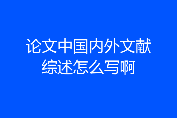 论文中国内外文献综述怎么写啊