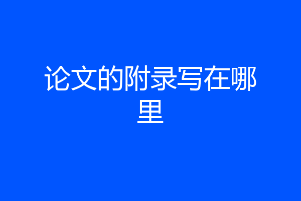 论文的附录写在哪里