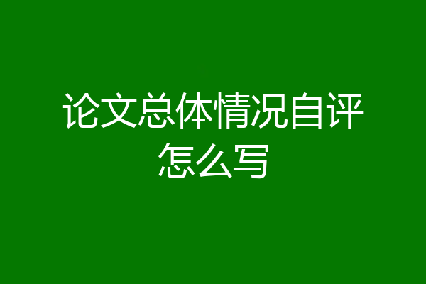 论文总体情况自评怎么写