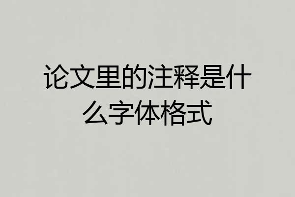 论文里的注释是什么字体格式