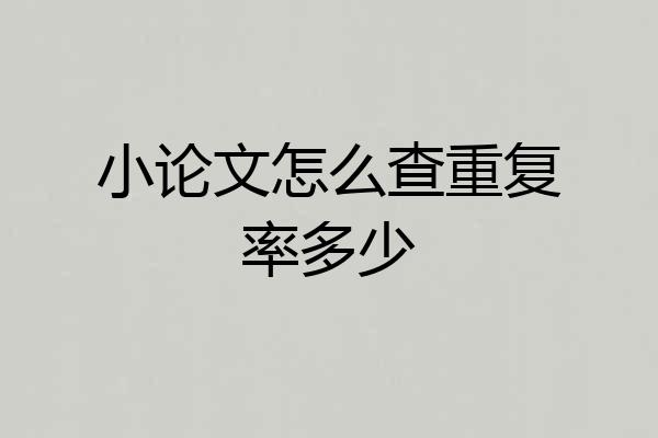 小论文怎么查重复率多少