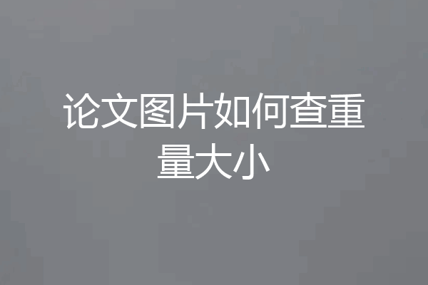 论文图片如何查重量大小