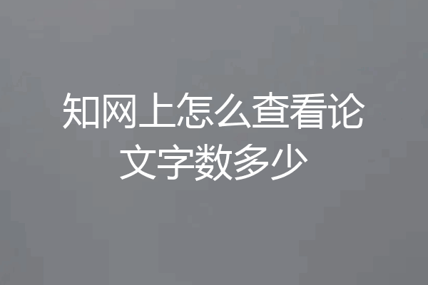 知网上怎么查看论文字数多少