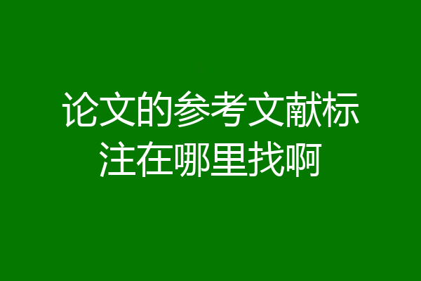 论文的参考文献标注在哪里找啊