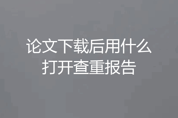 论文下载后用什么打开查重报告
