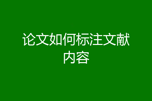 论文如何标注文献内容