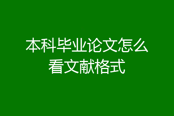 本科毕业论文怎么看文献格式