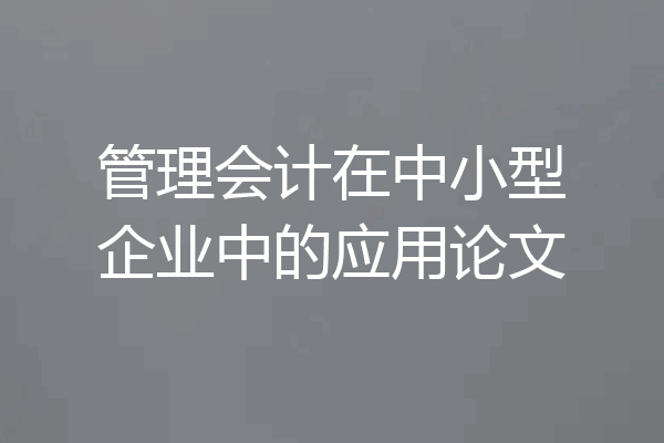管理会计在中小型企业中的应用论文