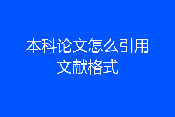 本科论文怎么引用文献格式