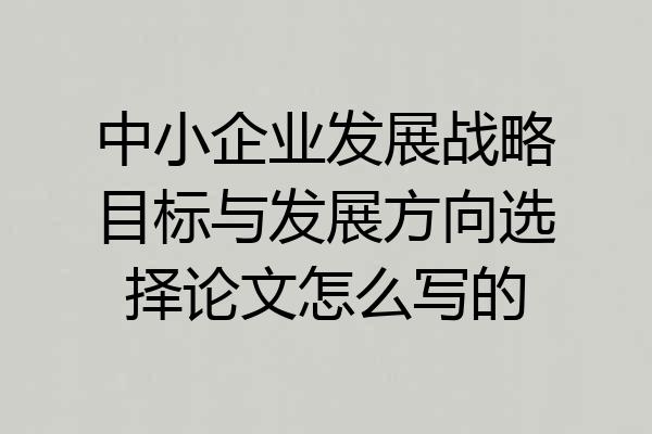中小企业发展战略目标与发展方向选择论文怎么写的