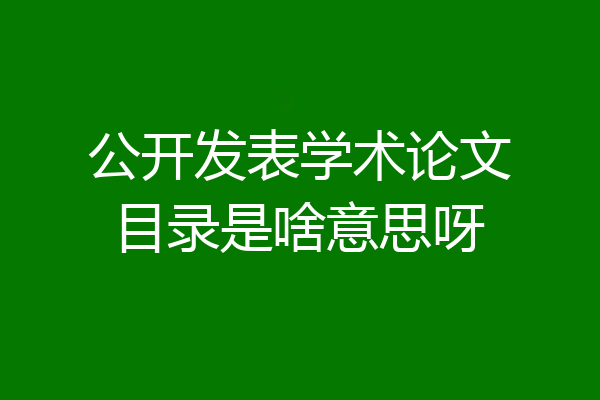 公开发表学术论文目录是啥意思呀