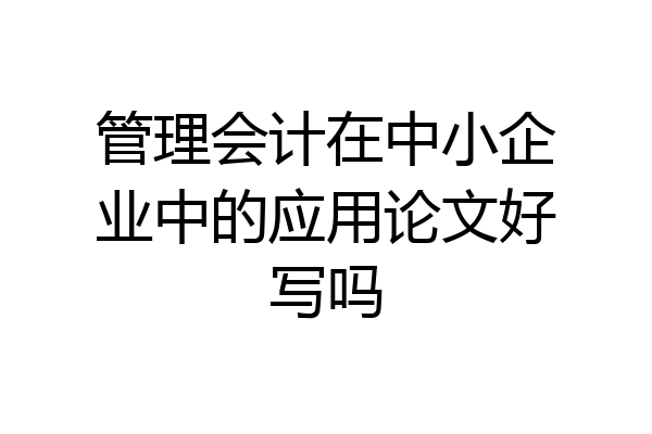 管理会计在中小企业中的应用论文好写吗