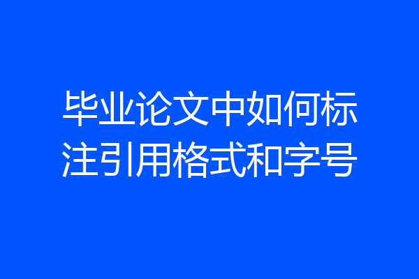 毕业论文中如何标注引用格式和字号