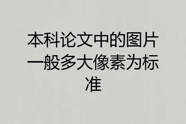 本科论文中的图片一般多大像素为标准
