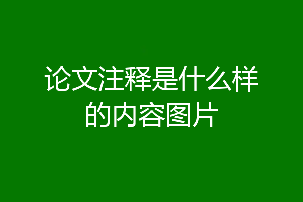 论文注释是什么样的内容图片