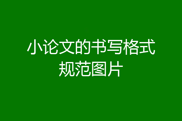 小论文的书写格式规范图片