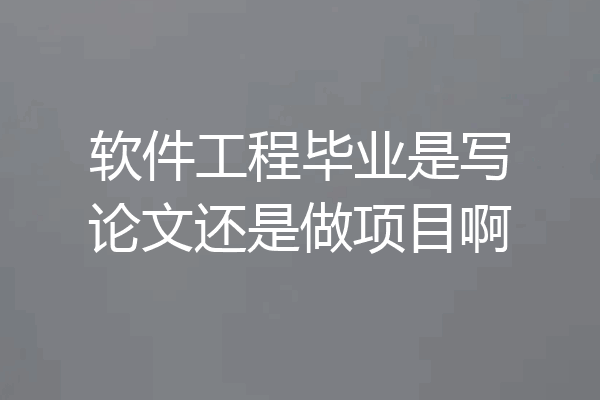 软件工程毕业是写论文还是做项目啊