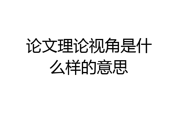 论文理论视角是什么样的意思