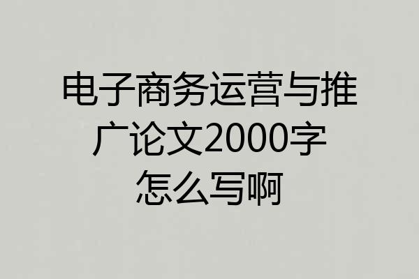 电子商务运营与推广论文2000字怎么写啊
