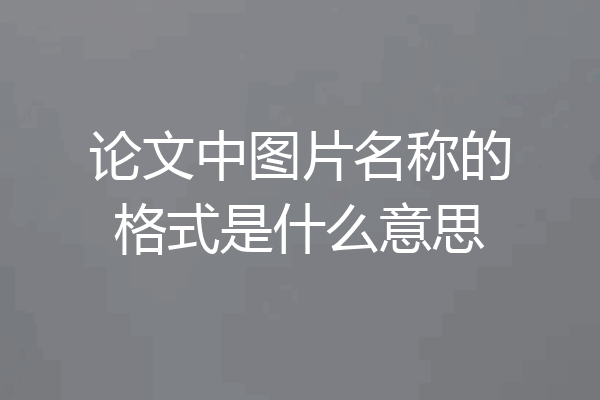 论文中图片名称的格式是什么意思