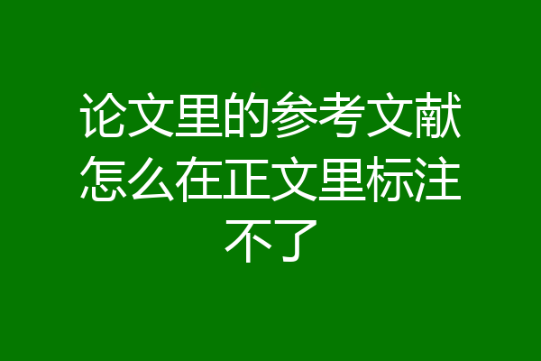 论文里的参考文献怎么在正文里标注不了