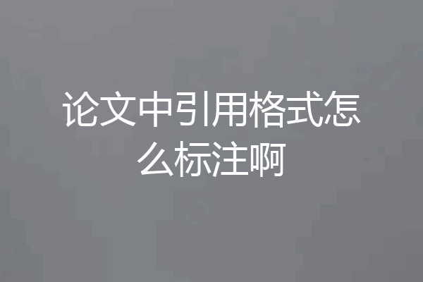 论文中引用格式怎么标注啊