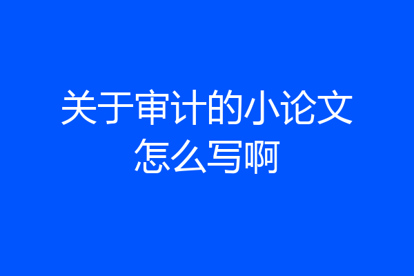 关于审计的小论文怎么写啊