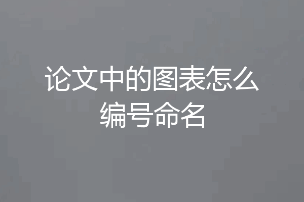论文中的图表怎么编号命名