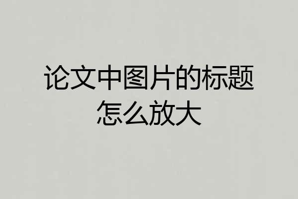 论文中图片的标题怎么放大