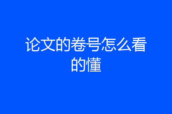 论文的卷号怎么看的懂