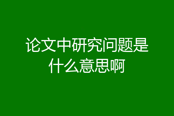 论文中研究问题是什么意思啊