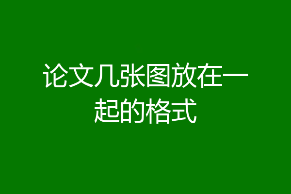 论文几张图放在一起的格式