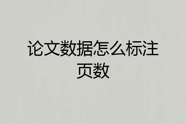 论文数据怎么标注页数