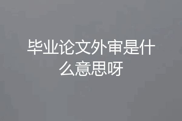 毕业论文外审是什么意思呀