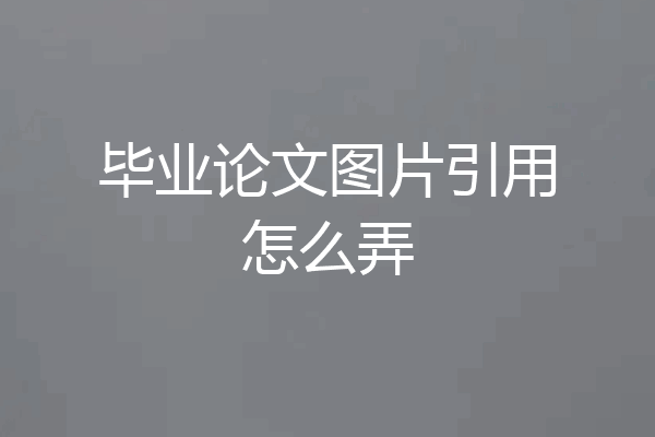 毕业论文图片引用怎么弄