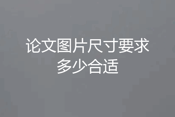 论文图片尺寸要求多少合适